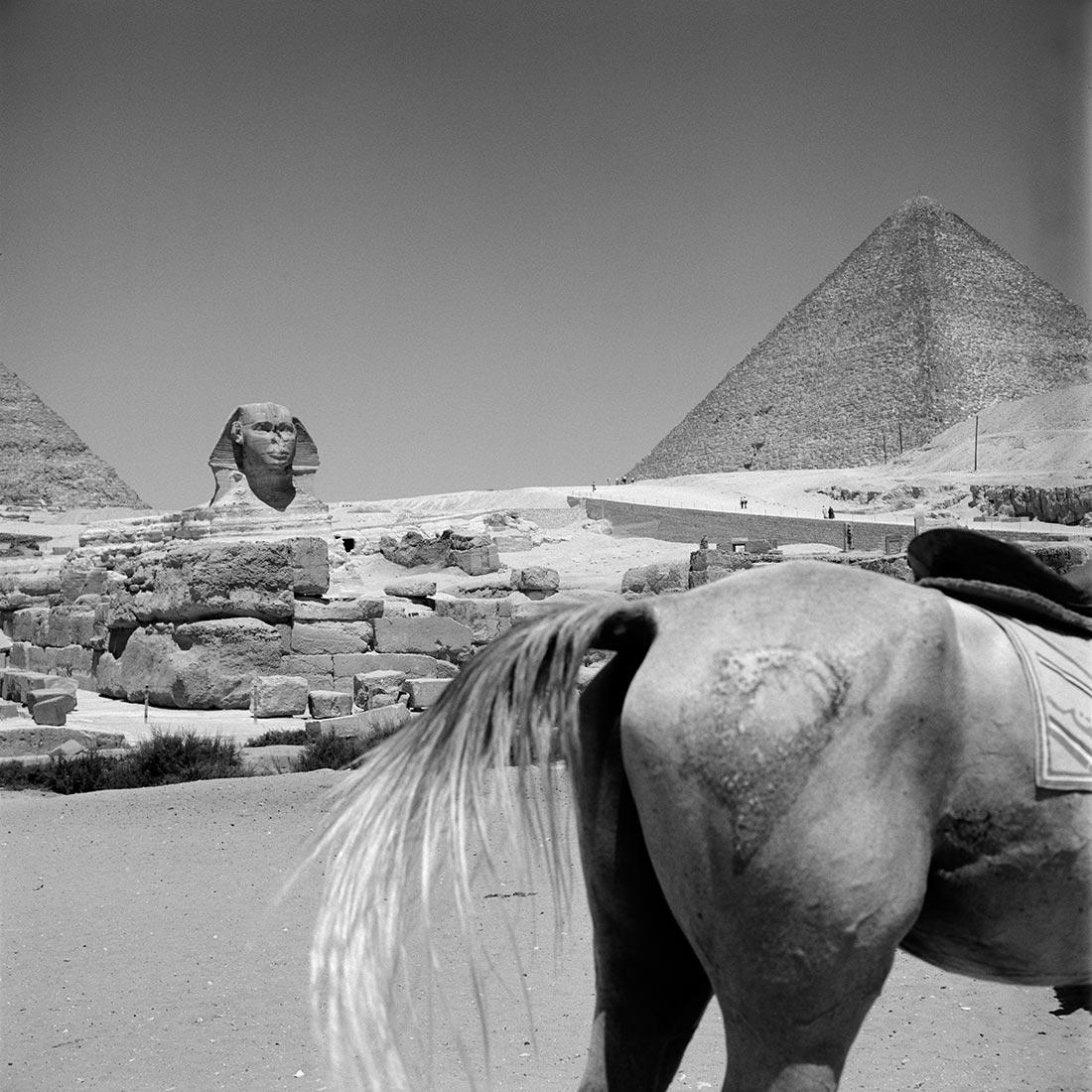 The Sphinx of Giza and the pyramid of Khufu, 1959. Egypt