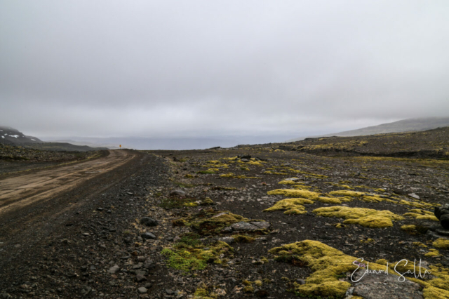 Vestfirðir · Islàndia